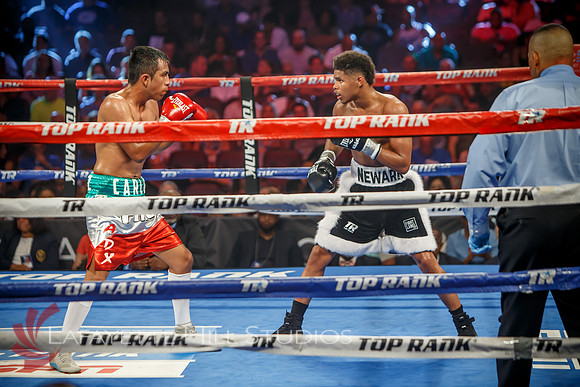 Boxing-0480