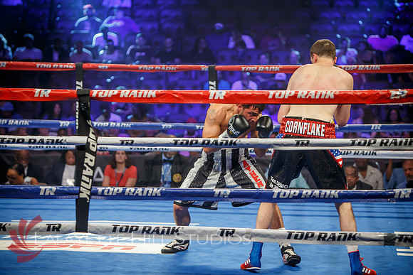 Boxing-0203