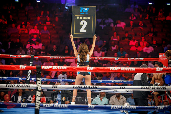 Boxing-0439