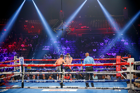 Boxing-0276