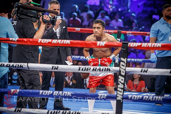 Boxing-0460