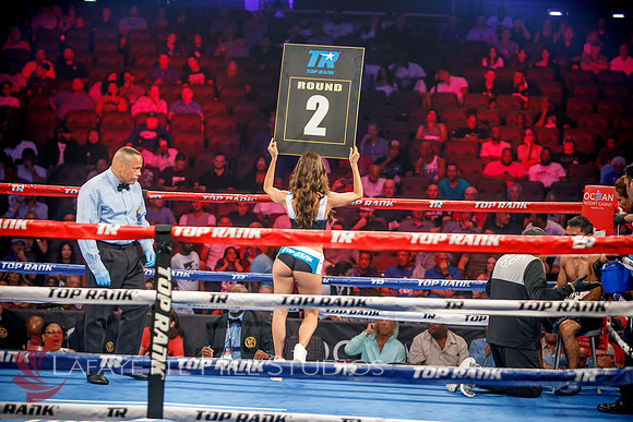 Boxing-0437