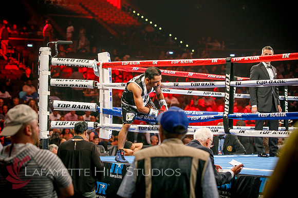 Boxing-0427
