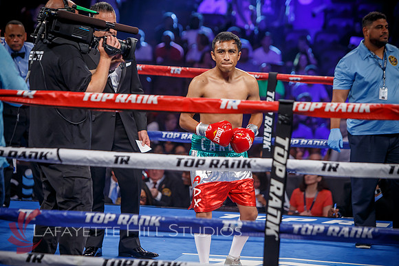 Boxing-0459