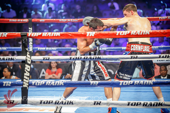 Boxing-0282