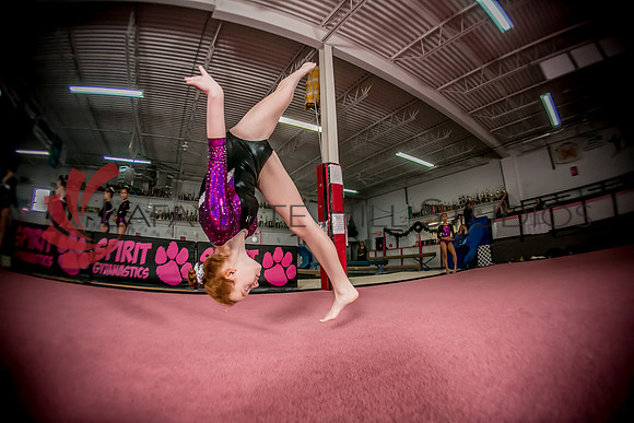 Spirit_Gymnastics__AG_2313_0123
