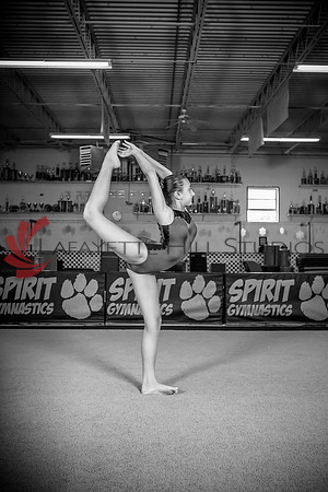 Spirit_Gymnastics__AG_2156_0057
