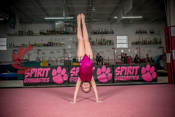 Spirit_Gymnastics__AG_2138_0051