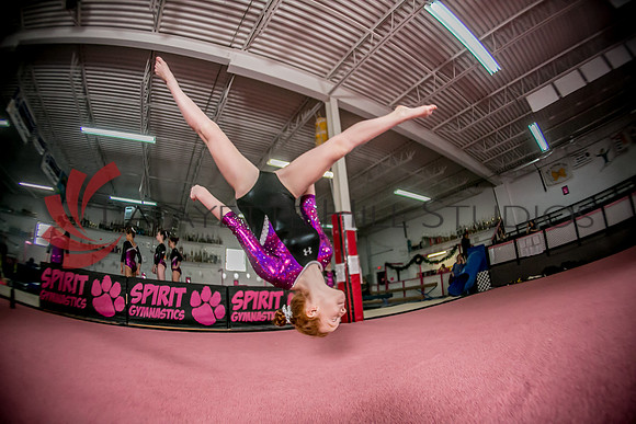 Spirit_Gymnastics__AG_2314_0124