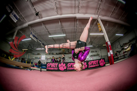 Spirit_Gymnastics__AG_2321_0127