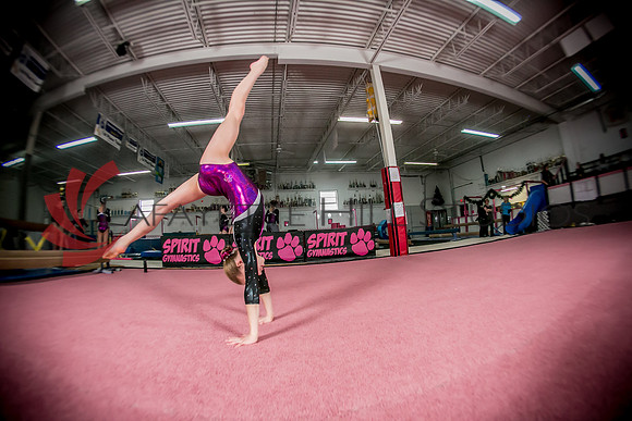 Spirit_Gymnastics__AG_2363_0146