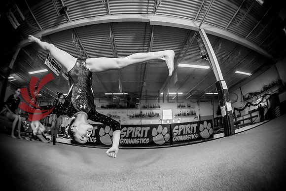 Spirit_Gymnastics__AG_2297_0116