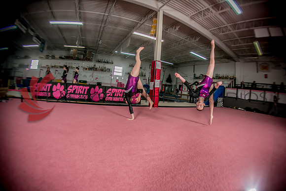 Spirit_Gymnastics__AG_2370_0150