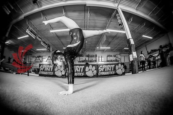 Spirit_Gymnastics__AG_2356_0142