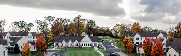 New-Hill_0043