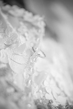 HL_Ross_0002