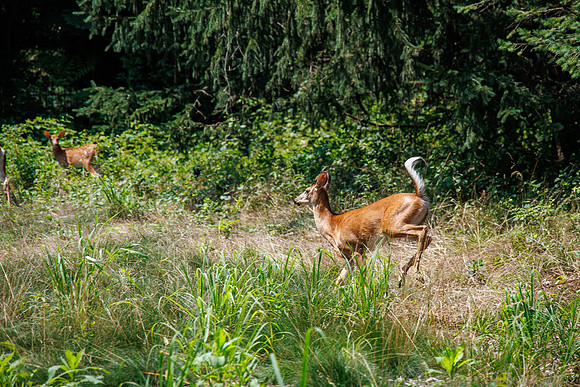 JAFCO Golf Classic-2023_0291