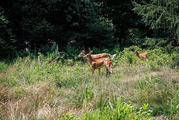 JAFCO Golf Classic-2023_0292