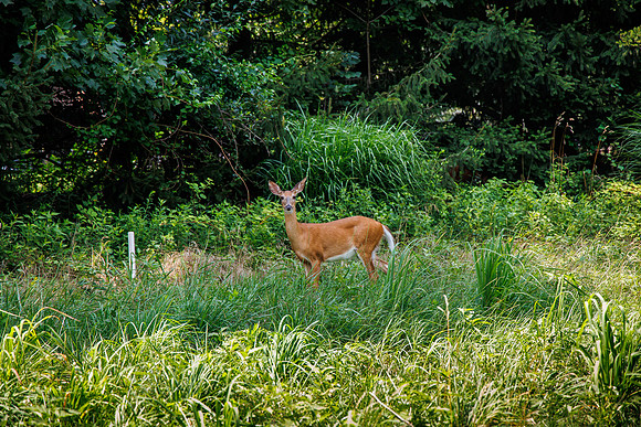 JAFCO Golf Classic-2023_0294