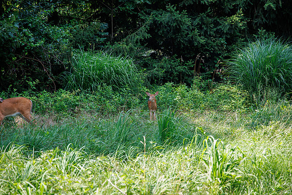 JAFCO Golf Classic-2023_0295