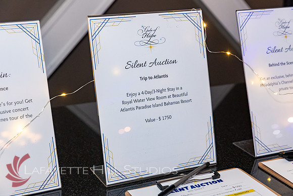 ALS Hope Foundation Gala-2025_0015