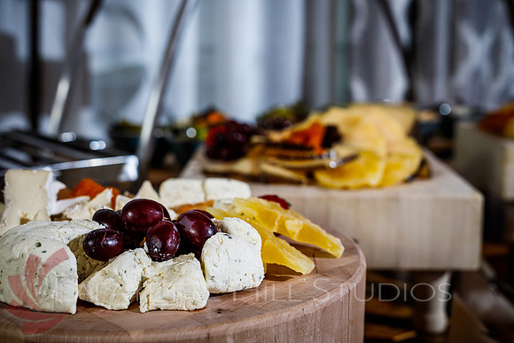 MarriottCateringCouncil_0507