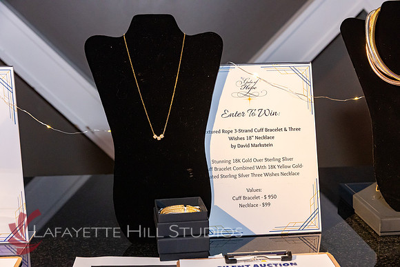 ALS Hope Foundation Gala-2025_0022