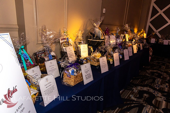 ALS Hope Foundation Gala-2025_0043