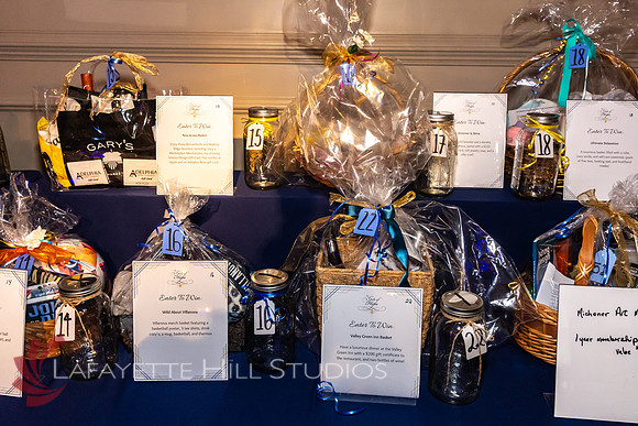 ALS Hope Foundation Gala-2025_0049