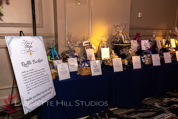ALS Hope Foundation Gala-2025_0042