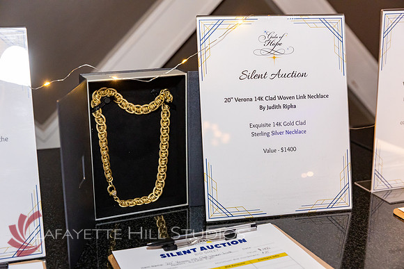 ALS Hope Foundation Gala-2025_0019