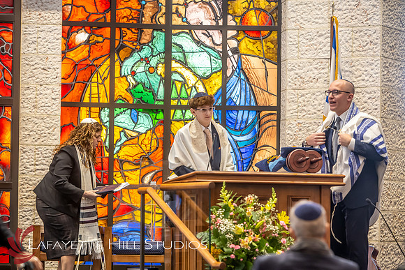 Goldstein_HLPart1_0026