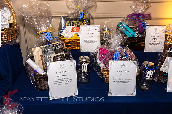 ALS Hope Foundation Gala-2025_0051