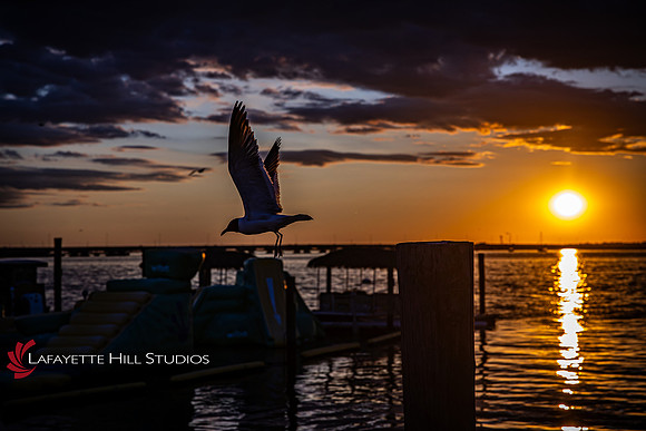Carr-BD-HL_0056