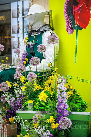 KOP Flowershow2025 Pre-show__0048