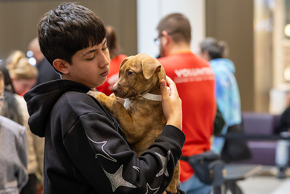 KOP Pet-Adoption2025_0104