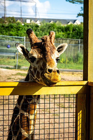 FIP-2025-30th Anniversary-Zoo_0072