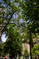 Rittenhouse Row2025Festival_0009