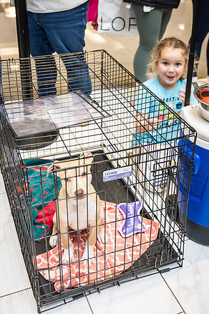 KOP Pet-Adoption2025_0013