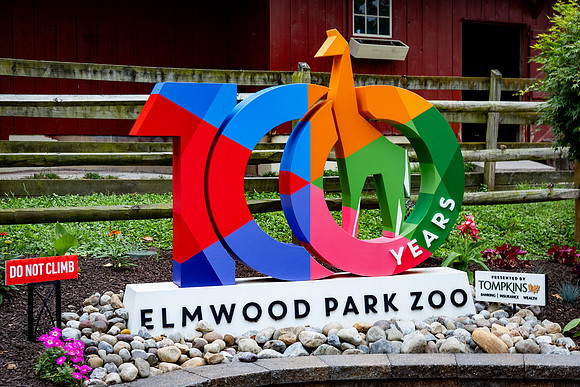 FIP-2025-30th Anniversary-Zoo_0294