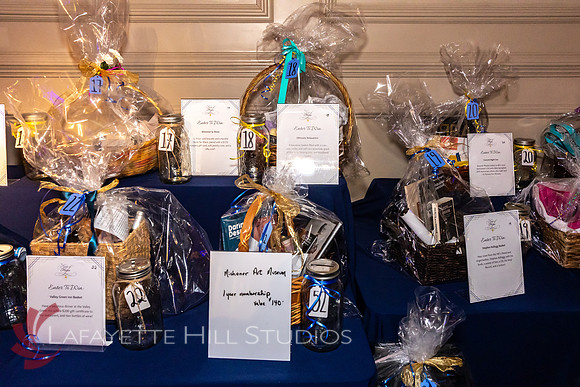 ALS Hope Foundation Gala-2025_0050