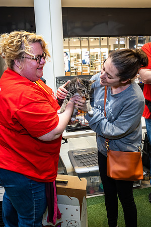 KOP Pet-Adoption2025_0137