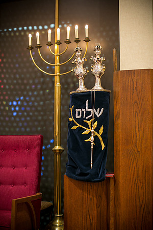 Goldstein_0294