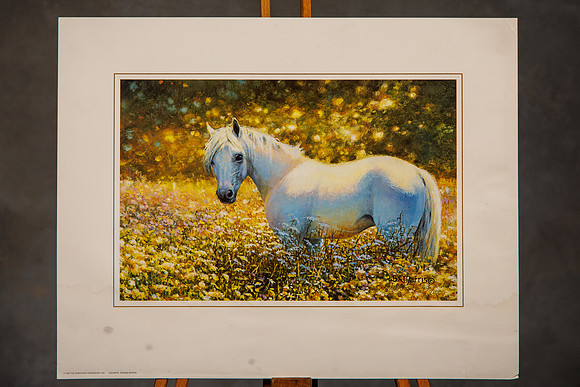 Wall Art Mike__0156