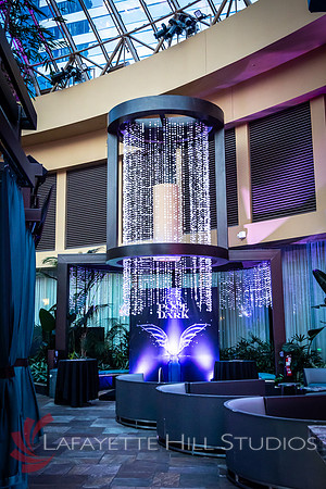 We Philly style the Pool PartyNj-jpg_0028