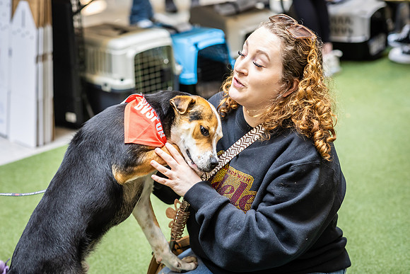 KOP Pet-Adoption2025_0054