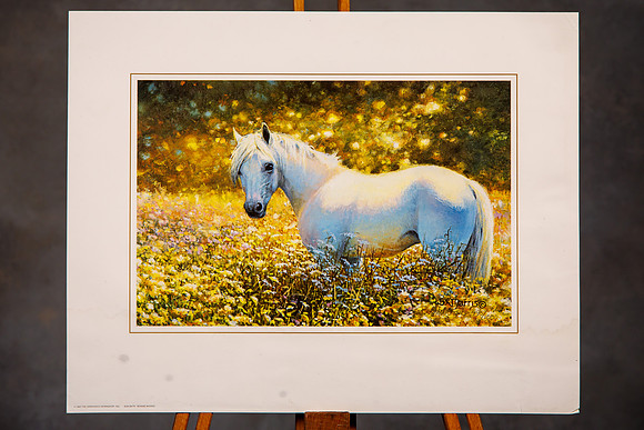 Wall Art Mike__0157