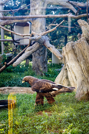 FIP-2025-30th Anniversary-Zoo_0174