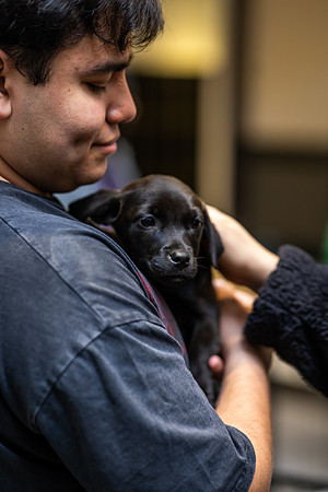 KOP Pet-Adoption2025_0075