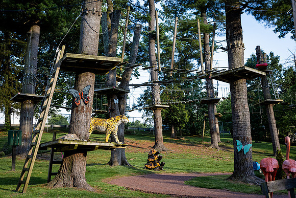 FIP-2025-30th Anniversary-Zoo_0215